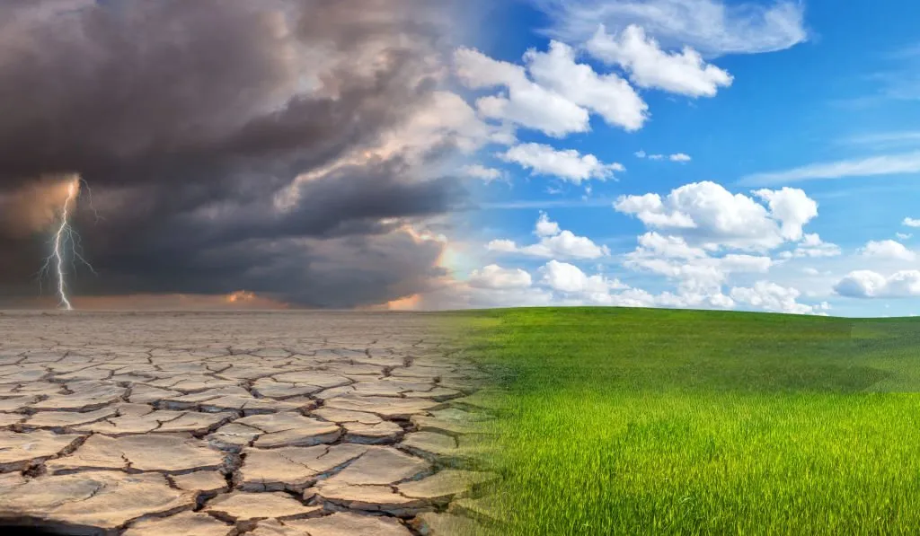 istockphoto-1813196017-1024x1024 (1)