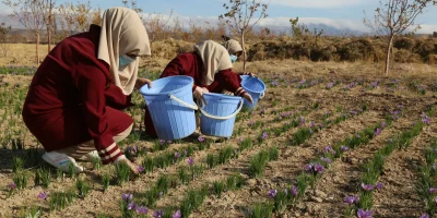 mustafa-ph9QYTsswkI-unsplash