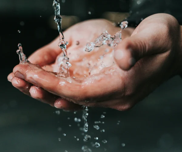 nathan-dumlao-x7Lyx8Yyvug-unsplash